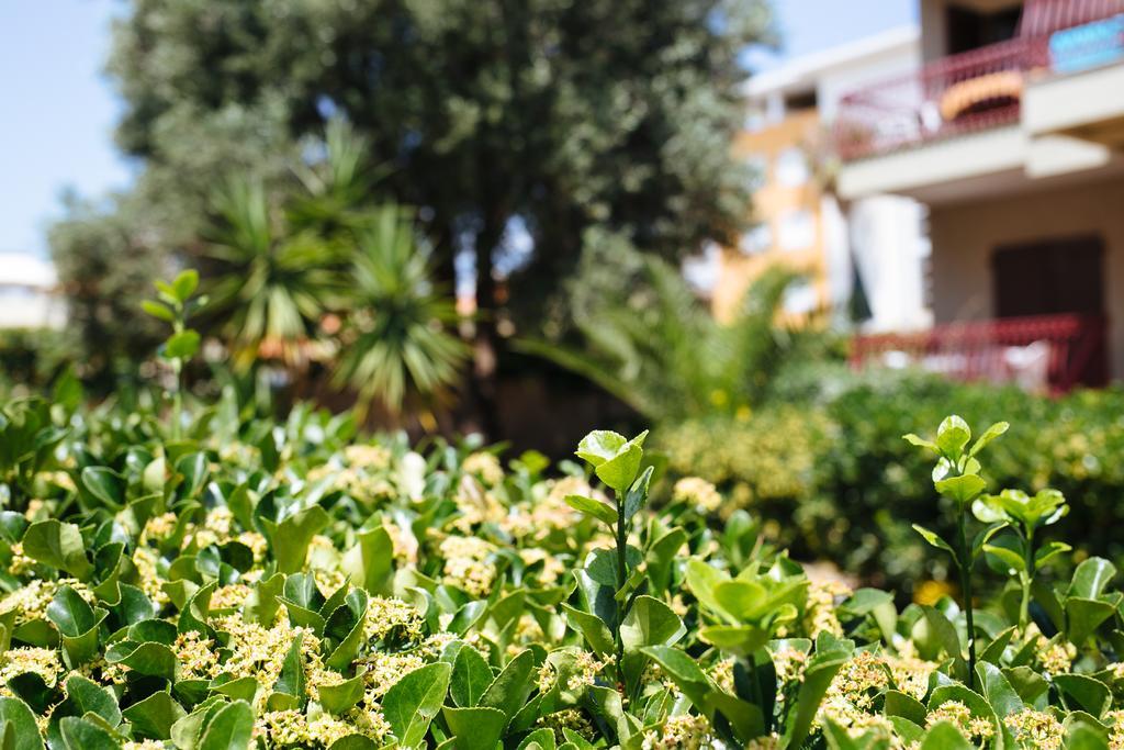S'Arena Bianca Apartment Αλγκέρο Εξωτερικό φωτογραφία